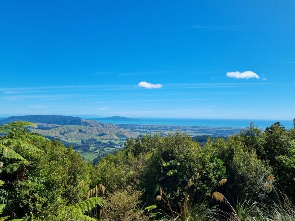 Manakau - Member