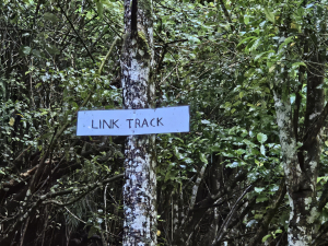 Top of Link Track