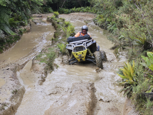 February 2025, Odlins Track to Snowy River and Back