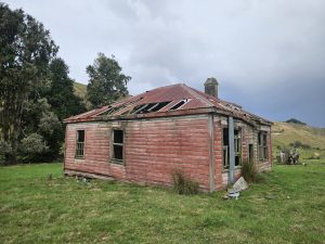 IMG-20250415-WA0001