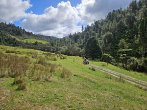 IMG-20250415-WA0004
