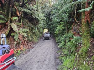 IMG-20250415-WA0012