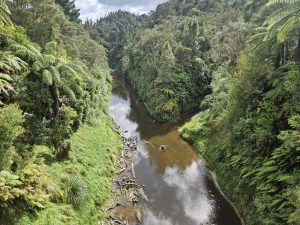 IMG-20250415-WA0013