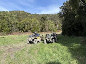 IMG 0144