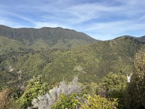 IMG 0149