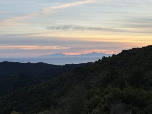IMG 0155
