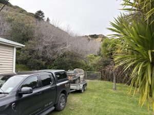 IMG 0170