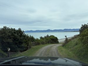 IMG 0173