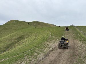 IMG 0176