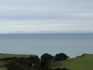 IMG 0177