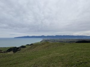 IMG 0179