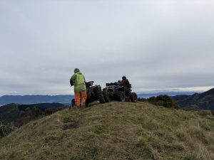 IMG 0186