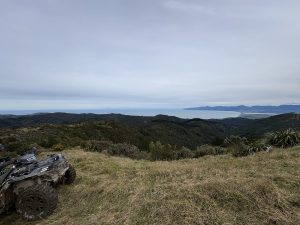 IMG 0188