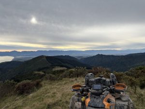 August 2025, Aorangi Forest / Sutherlands Hut