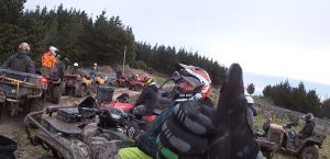 whats-got-big-thumbs-and-likes-billy