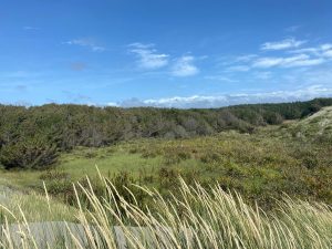 WhatsApp-Image-2025-12-16-at-10.07.41-AM-1