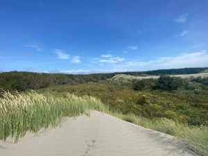 WhatsApp-Image-2025-12-16-at-10.07.42-AM