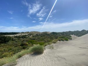 WhatsApp-Image-2025-12-16-at-10.07.44-AM-1