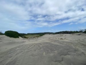 WhatsApp-Image-2025-12-16-at-10.07.48-AM-1