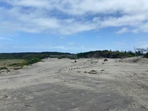 WhatsApp-Image-2025-12-16-at-10.07.48-AM