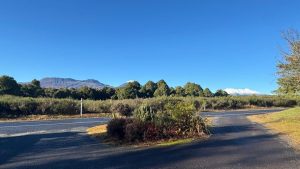 IMG-20250707-WA0035