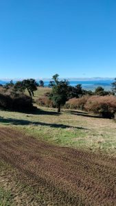 IMG-20250707-WA0037