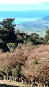 IMG-20250707-WA0038
