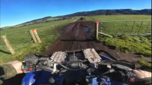 IMG-20250707-WA0041