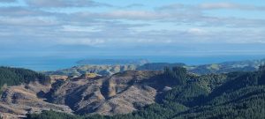 Spot Mana and the South Island