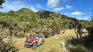 IMG-20250507-WA0009