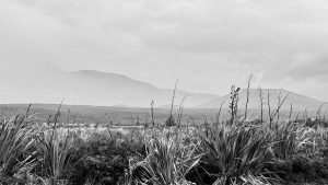 IMG-20250507-WA0025
