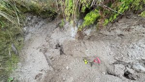 IMG-20250507-WA0032