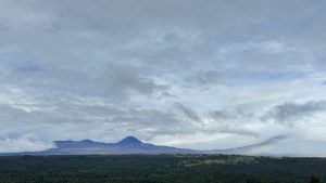 IMG-20250507-WA0034