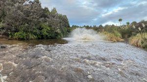 IMG-20250507-WA0048