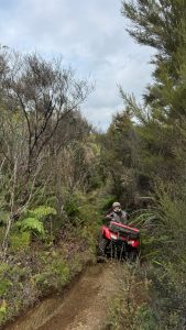IMG-20250507-WA0075
