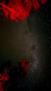 IMG-20250507-WA0096
