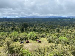 WhatsApp-Image-2025-11-23-at-6.50.21-AM-2