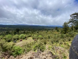 WhatsApp-Image-2025-11-23-at-6.50.21-AM-3