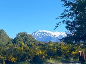 WhatsApp-Image-2025-11-23-at-6.50.25-AM-1