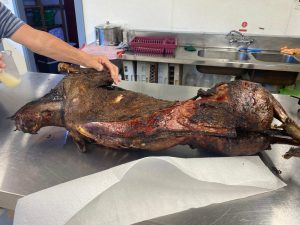 WhatsApp-Image-2025-11-23-at-6.50.25-AM-2