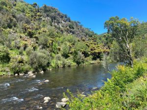 WhatsApp-Image-2025-11-23-at-6.50.27-AM-1