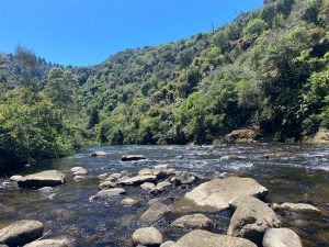 WhatsApp-Image-2025-11-23-at-6.50.28-AM-2