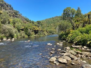 WhatsApp-Image-2025-11-23-at-6.50.29-AM-1