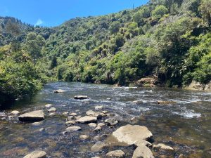 WhatsApp-Image-2025-11-23-at-6.50.29-AM-2