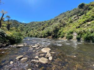 WhatsApp-Image-2025-11-23-at-6.50.30-AM