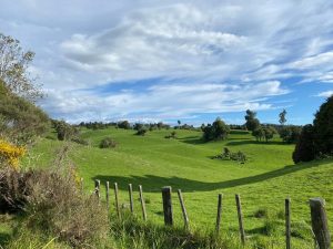 WhatsApp-Image-2025-11-23-at-6.50.33-AM-1