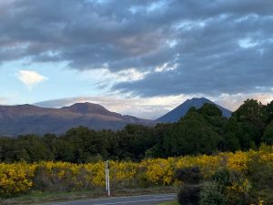 WhatsApp-Image-2025-11-23-at-6.50.33-AM-2