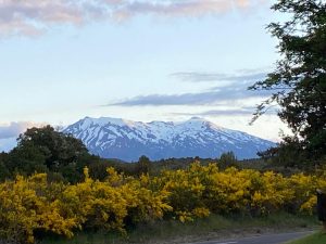 WhatsApp-Image-2025-11-23-at-6.50.34-AM