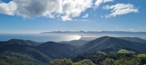 March 2026, Aorangi Forest Sutherlands Track