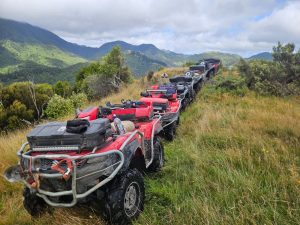 WhatsApp-Image-2026-03-15-at-8.03.31-PM